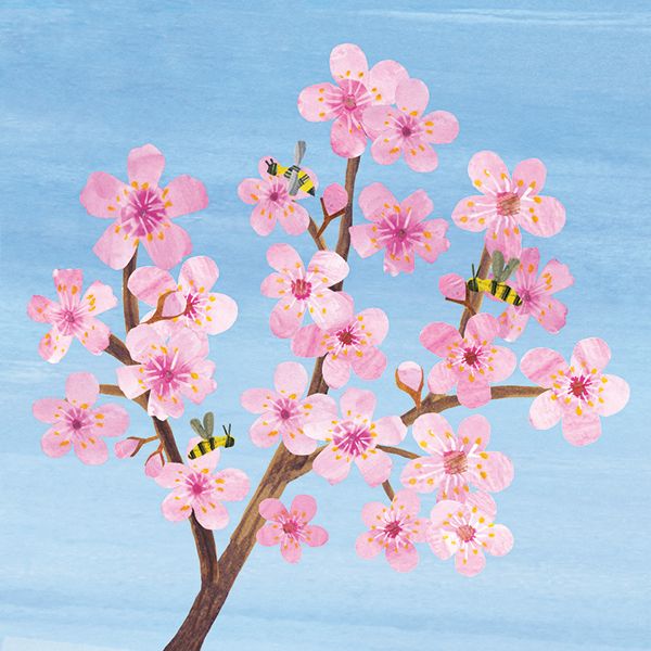 Trees: Cherry Blossom (Pop-Up Card)